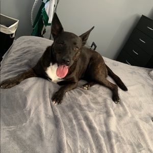 Meet your Posher, Carlo